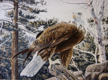 águila en pájaros de árbol blanco Pinturas al óleo